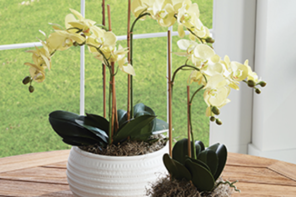 Napa home & garden